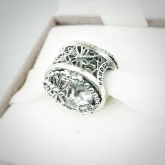 фотография шарм пандора стрекоза и божья коровка 797047CZ №4