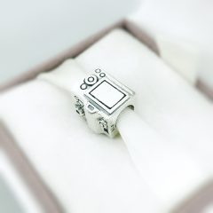 фотография шарм пандора фотоаппарат 791709CZ №5