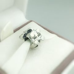 фотография шарм пандора африканский слон 790480-2 №2